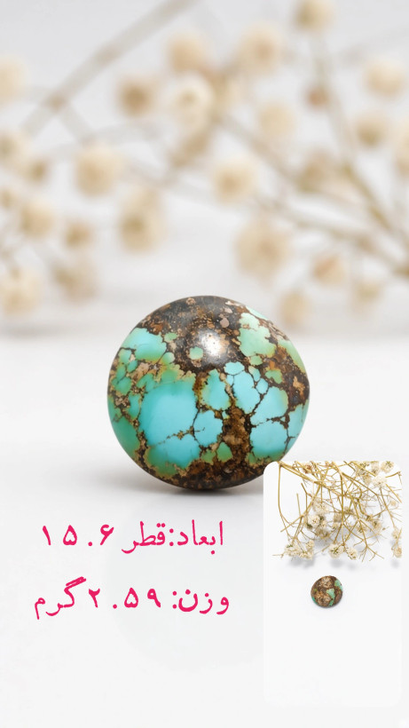 فیروزه نیشابور